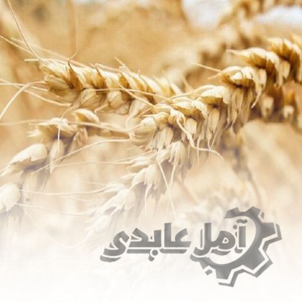 نرخ خرید ۱۵ هزار تومان برای گندم مناسب است